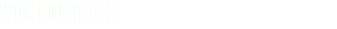 WDC BIUSINESS