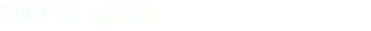 WDC GOVERNMENT